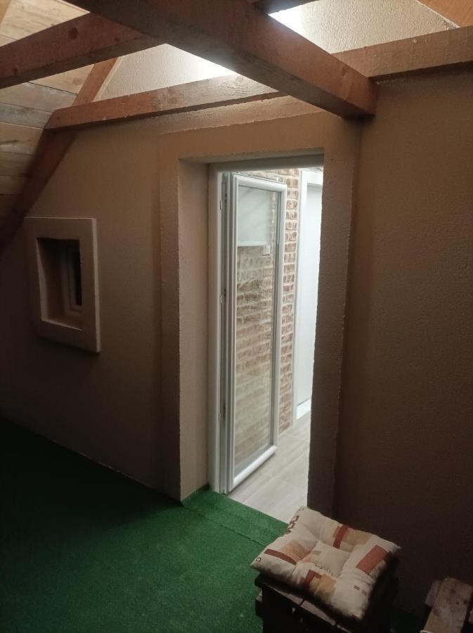 Zemun Polje Apartmani Marija Zemun מראה חיצוני תמונה