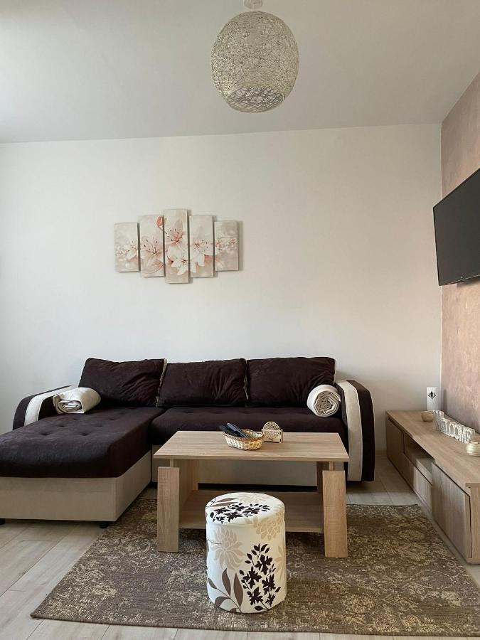Zemun Polje Apartmani Marija Zemun מראה חיצוני תמונה