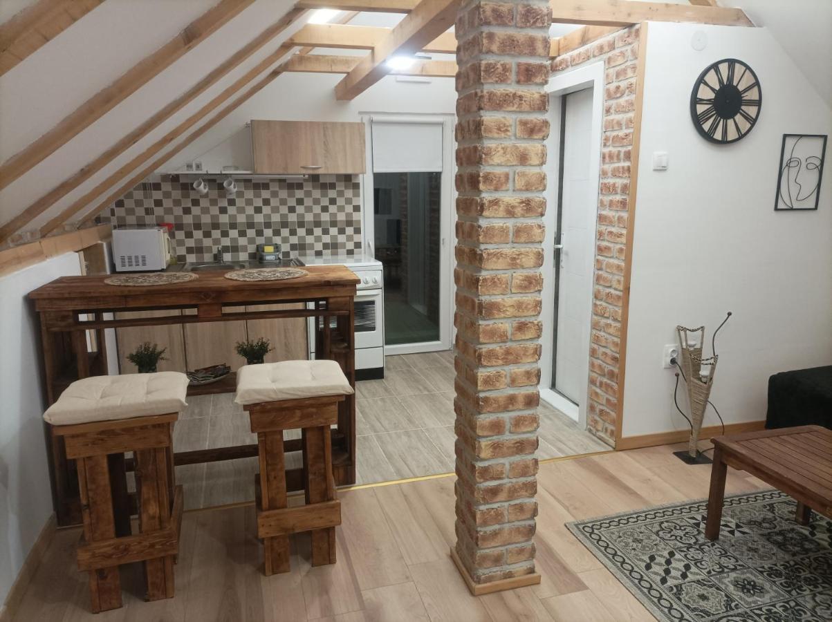 Zemun Polje Apartmani Marija Zemun מראה חיצוני תמונה