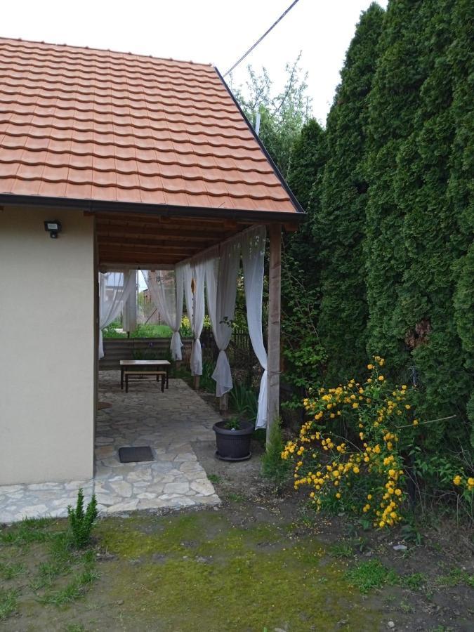 Zemun Polje Apartmani Marija Zemun מראה חיצוני תמונה
